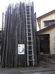RIMG1318