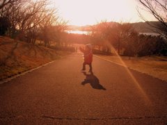 夕陽と息子