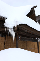 玄関前には・・・