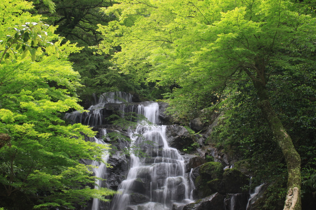 清々しい滝の音