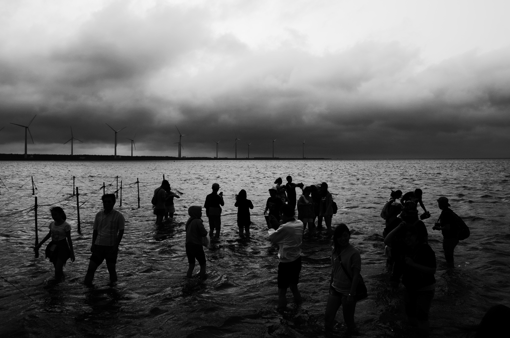 高美湿地風景区の憂鬱