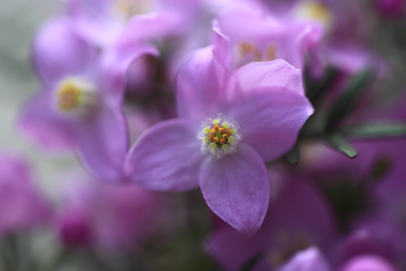 0303