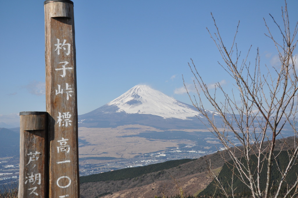 初富士