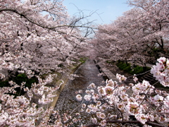 俺も俺も