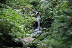 深山の小滝