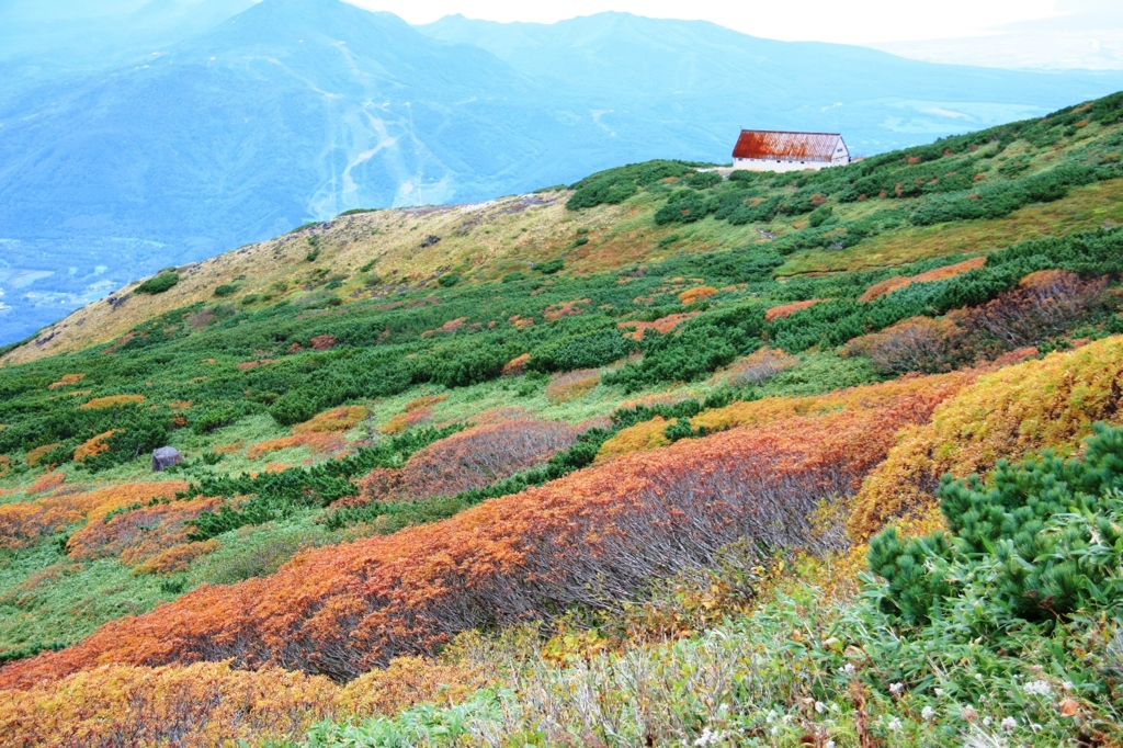 羊蹄山避難小屋
