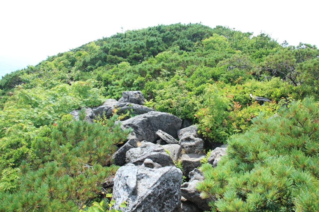 シャクナゲ岳山頂直下の岩場
