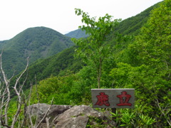 鹿立