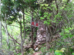 風岩