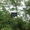 天狗岳山頂1145m