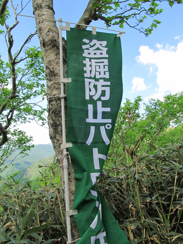 花をとるなら写真で！