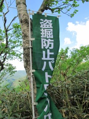 花をとるなら写真で！