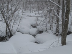 3雪で覆われた川