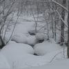 3雪で覆われた川