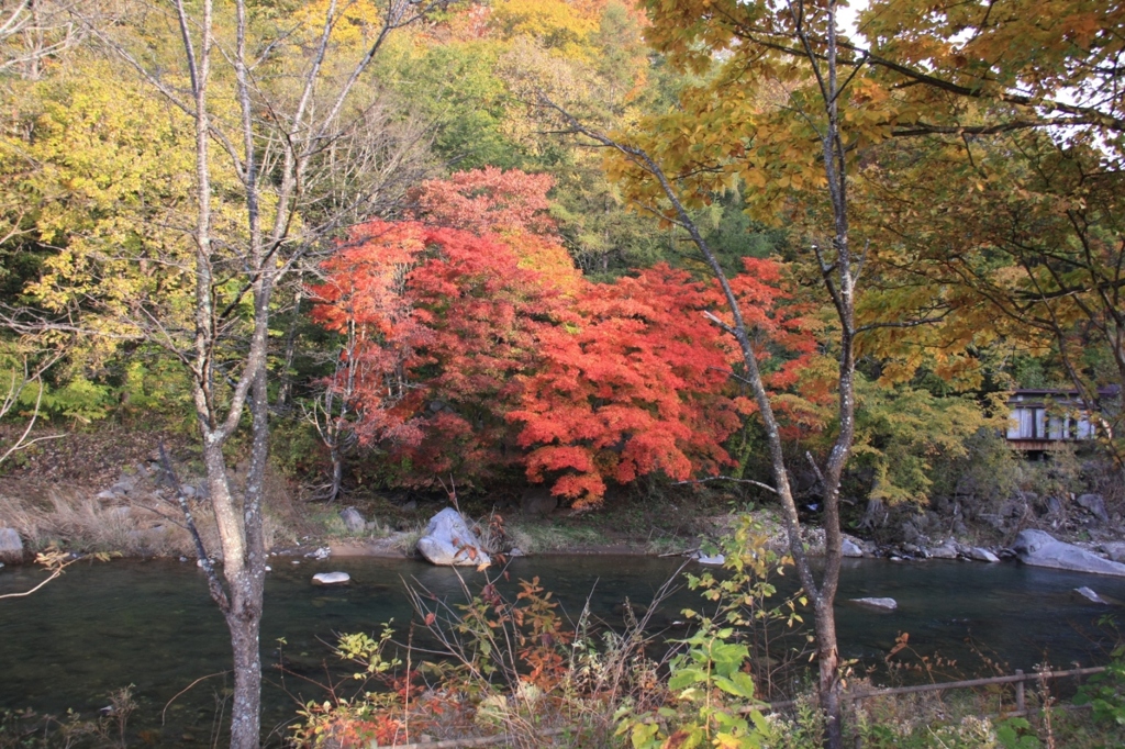 北湯沢の紅葉