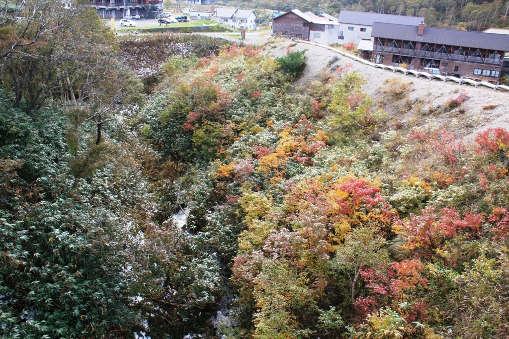 五色温泉付近の紅葉