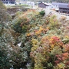 五色温泉付近の紅葉