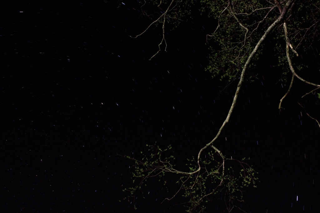 星空（美笛キャンプ場にて）