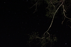 星空（美笛キャンプ場にて）