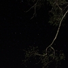 星空（美笛キャンプ場にて）