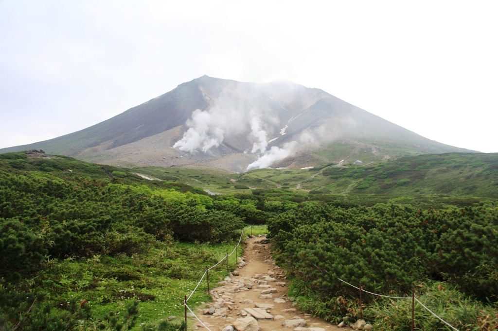 登山道より望む旭岳
