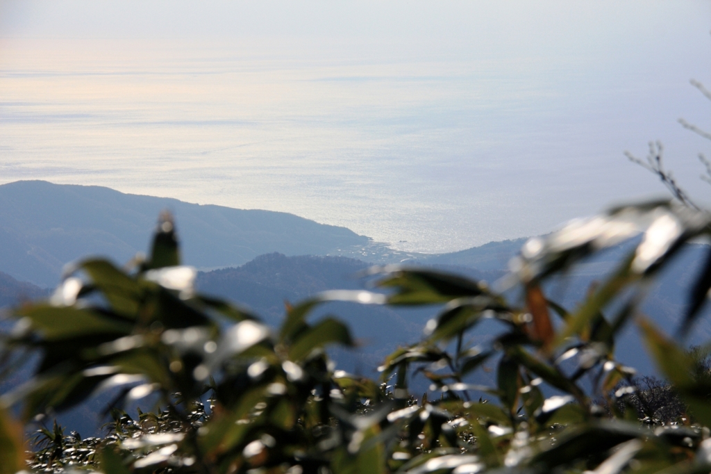 輝く日本海