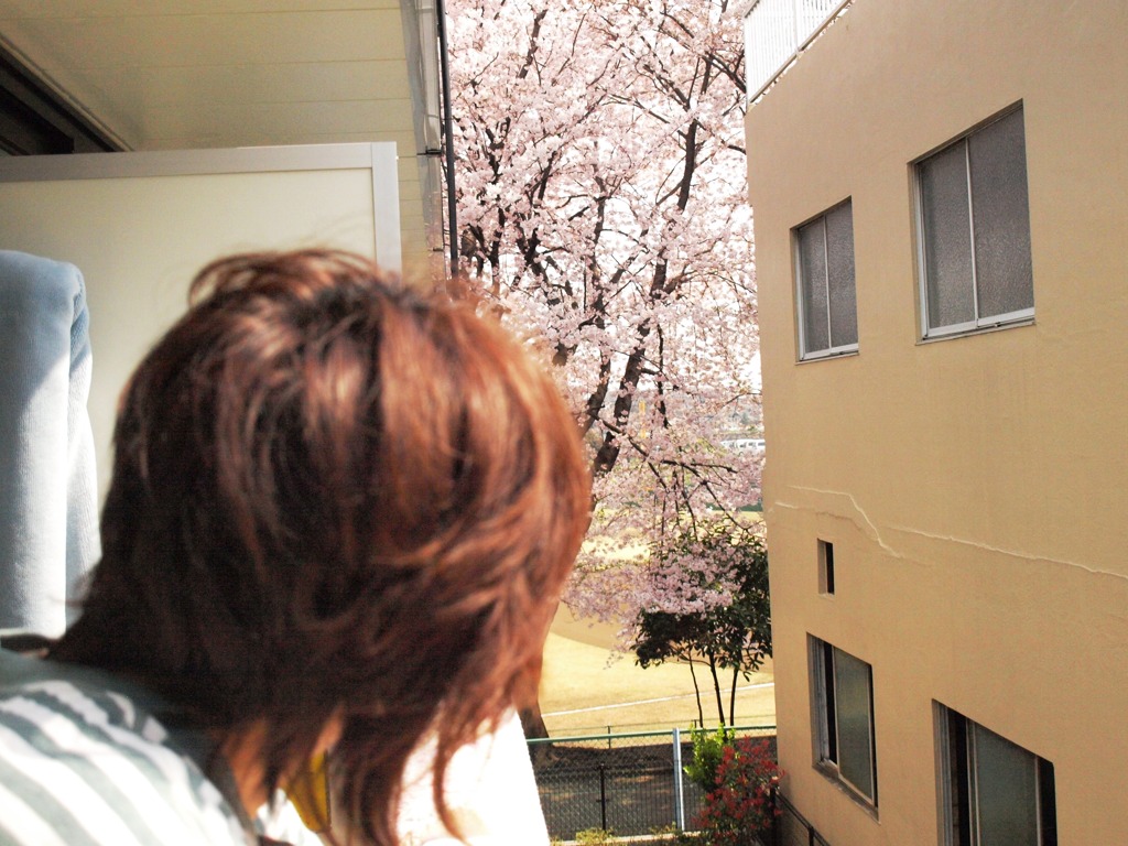 2009haru