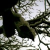 DSCN0411