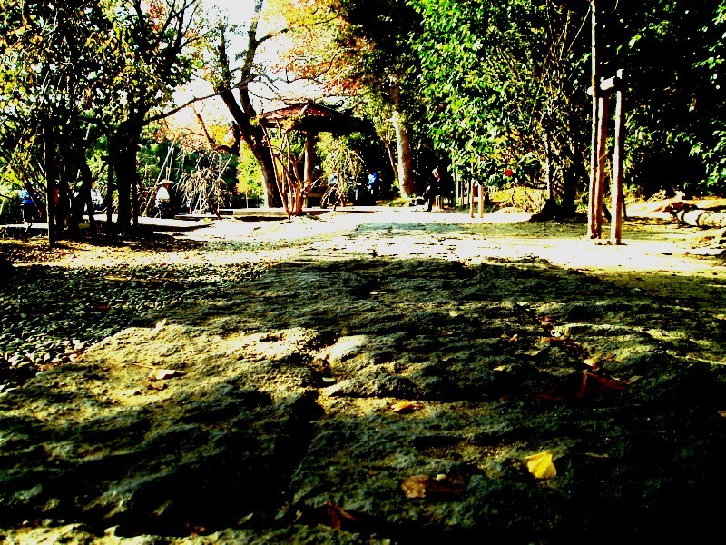 20081122-24