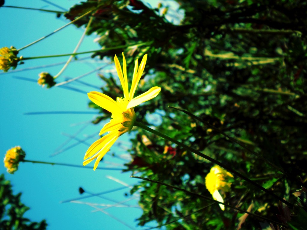DSCN0311