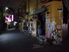 夜の猫たち