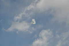 45ℓ