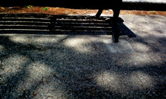 大阪城の長椅子