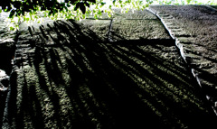 大阪城の城壁を仰ぐ