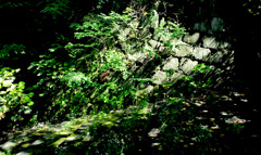 大阪城天守閣近くで