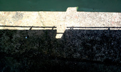 いったい何を撮ってるの？と言われそうで。