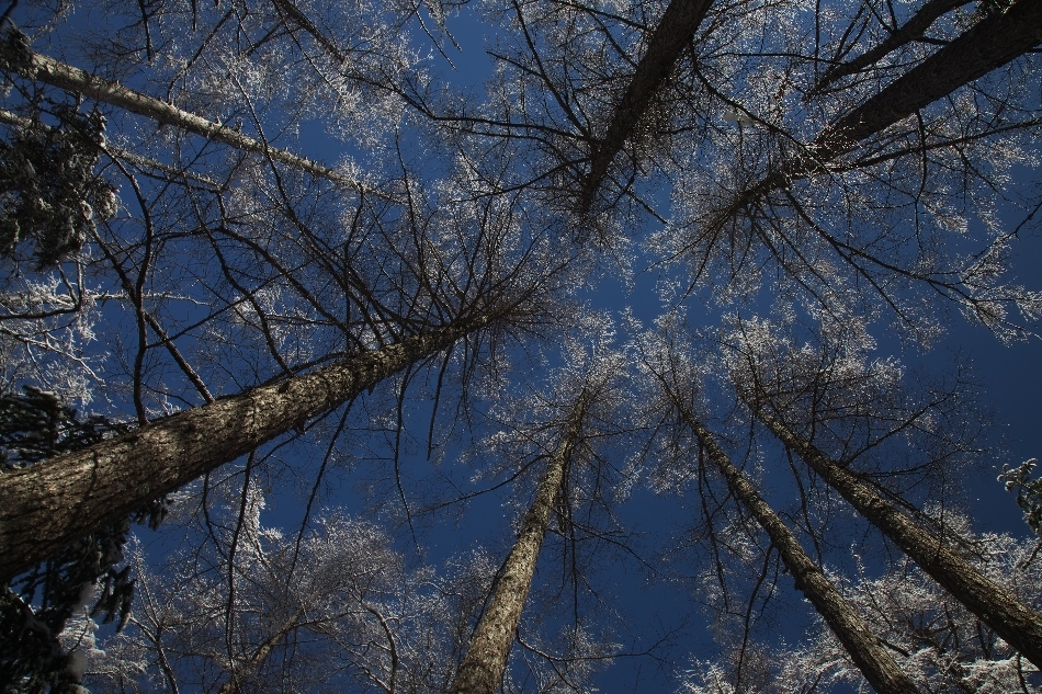 2011_02_19_10_56-0418-