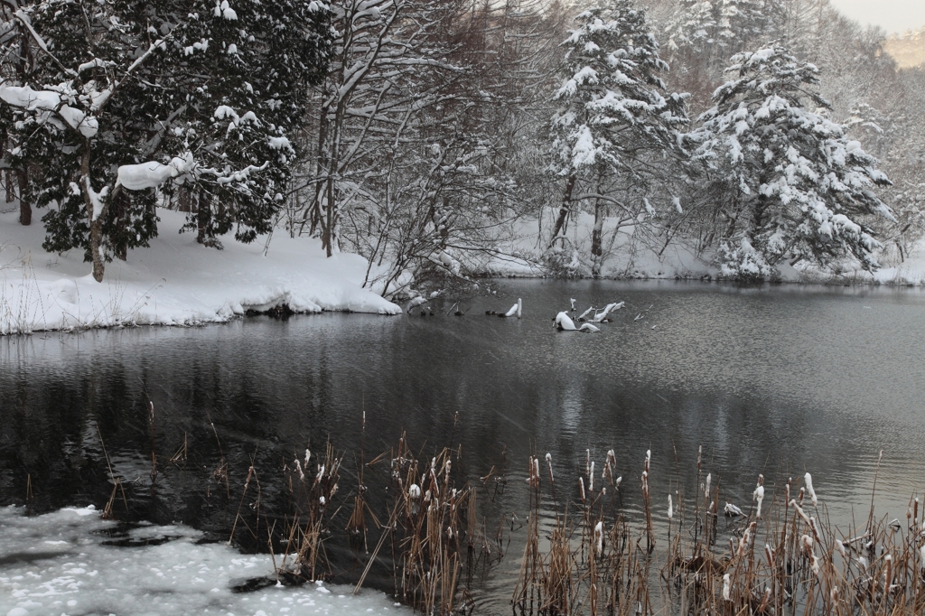 2011_01_10_07_45-0143-