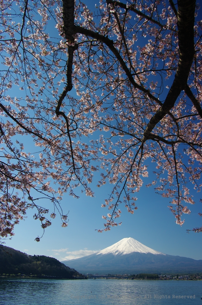 河口湖