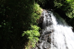 溢れ続ける豊水