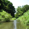 夏色の川