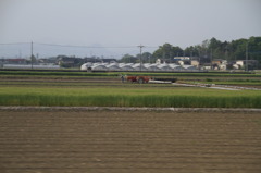 田植えの季節