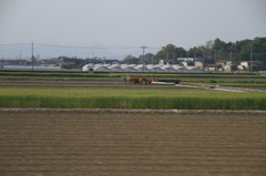 田植えの季節