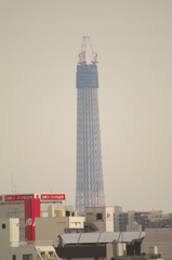 東京スカイツリー(建設中)