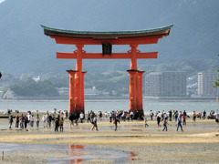 厳島神社からみる鳥居