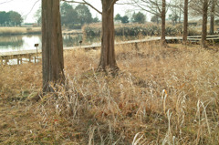 公園１
