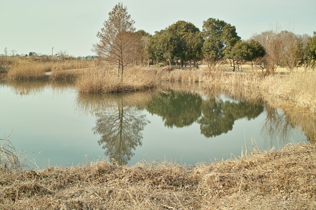 公園３