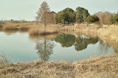 公園３