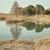 公園３