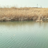 公園２